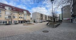 Komárom-Esztergom megye – Tatabánya – Dózsakert