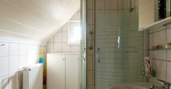 Győr-Moson-Sopron megye – Halászi