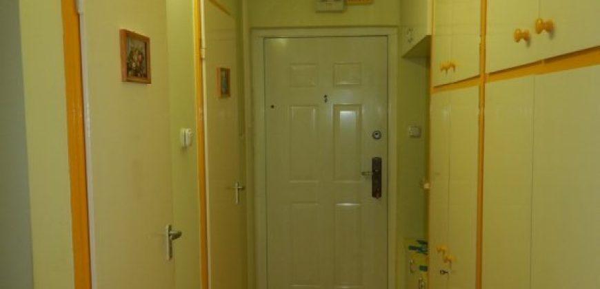 Komárom-Esztergom megye – Tatabánya – Dózsakert