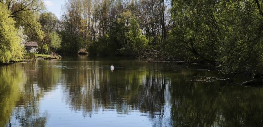 Győr-Moson-Sopron megye – Dunasziget – Nincs megadva