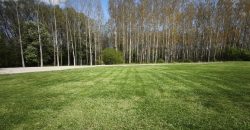 Győr-Moson-Sopron megye – Dunasziget – Nincs megadva