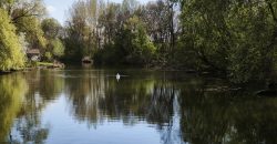 Győr-Moson-Sopron megye – Dunasziget – Nincs megadva