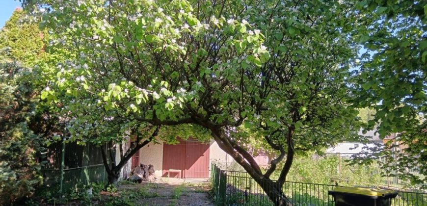 Győr-Moson-Sopron megye – Győr – Kisbácsa