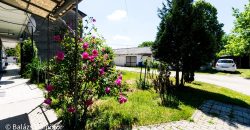 Győr-Moson-Sopron megye – Mosonmagyaróvár – Ipatelep