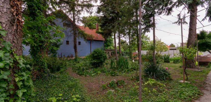 Győr-Moson-Sopron megye – Jánossomorja – Mosonszentpéter