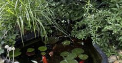 Győr-Moson-Sopron megye – Sopron – Pihenőkereszt lakópark