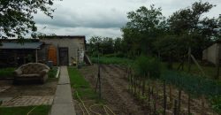 Komárom-Esztergom megye – Kömlőd