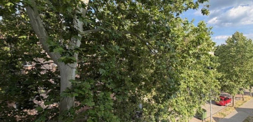 Komárom-Esztergom megye – Oroszlány – Újváros