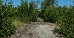 Komárom-Esztergom megye – Tatabánya