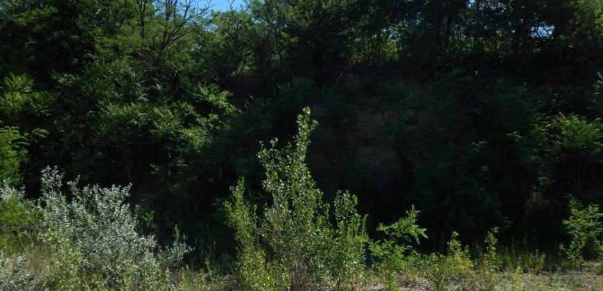 Komárom-Esztergom megye – Tatabánya – Óváros