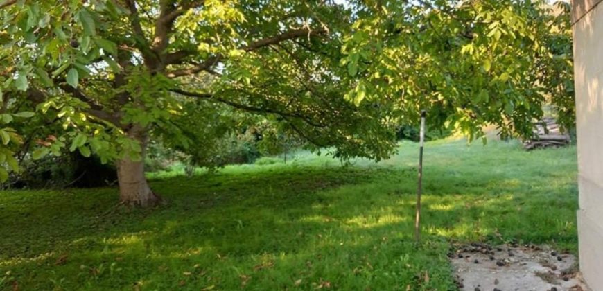 Győr-Moson-Sopron megye – Dunakiliti