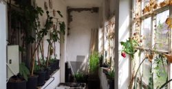 Fejér megye – Székesfehérvár – Őrhalmiszőlők