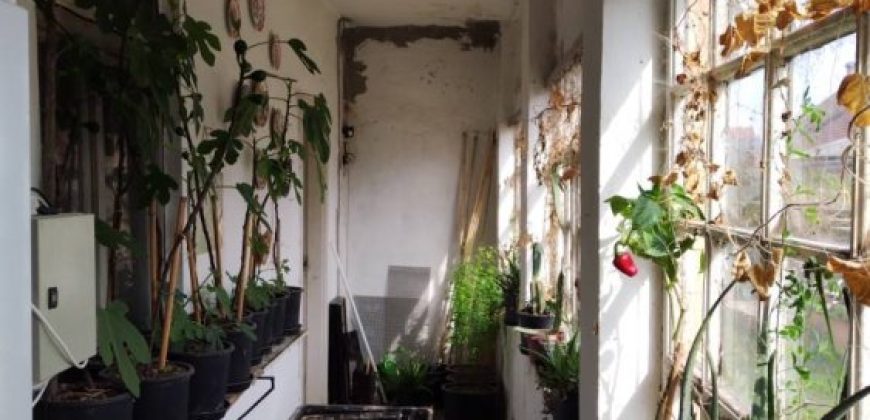 Fejér megye – Székesfehérvár – Őrhalmiszőlők