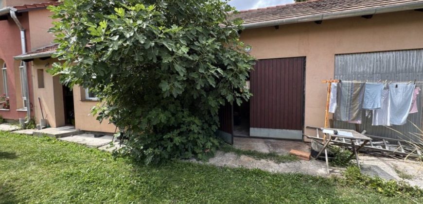 Fejér megye – Székesfehérvár – Őrhalmiszőlők