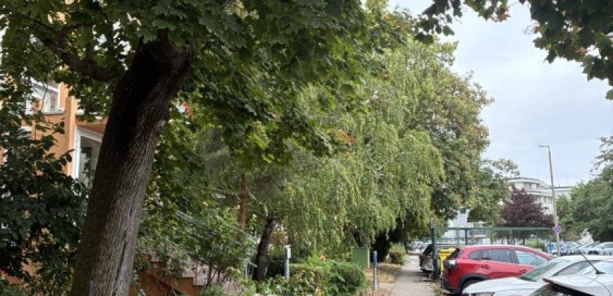 Fejér megye – Székesfehérvár – Palotaváros