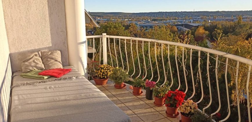 Pest megye – Budaörs – Kertváros