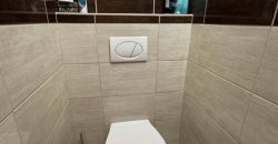 Fejér megye – Székesfehérvár – Belváros és környéke