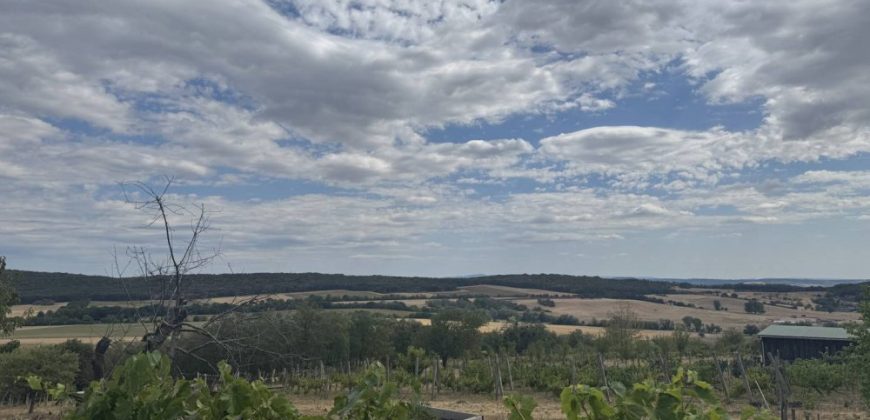 Komárom-Esztergom megye – Vértestolna