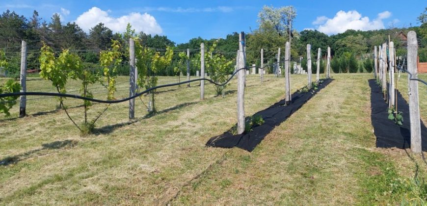 Komárom-Esztergom megye – Tatabánya – Turuloldal