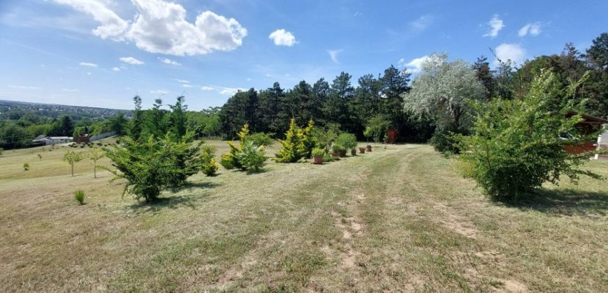Komárom-Esztergom megye – Tatabánya – Turuloldal