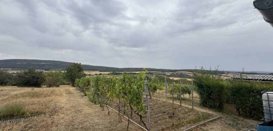 Komárom-Esztergom megye – Vértestolna