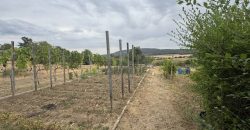 Komárom-Esztergom megye – Vértestolna
