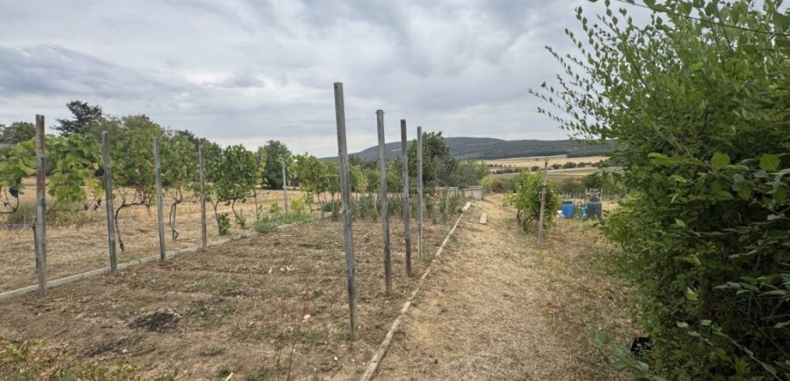 Komárom-Esztergom megye – Vértestolna