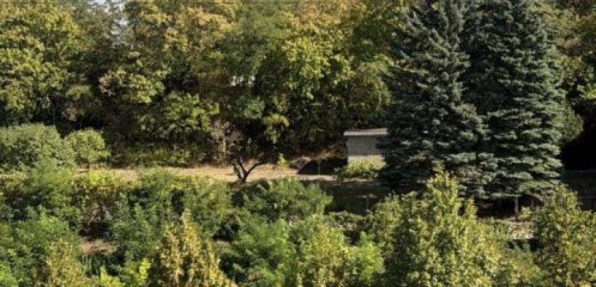 Komárom-Esztergom megye – Tatabánya – Óváros