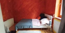 Pest megye – Budakalász – Ezüsthegy