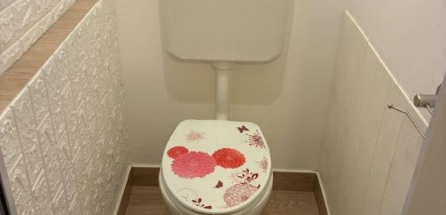 Fejér megye – Székesfehérvár – Belváros és környéke