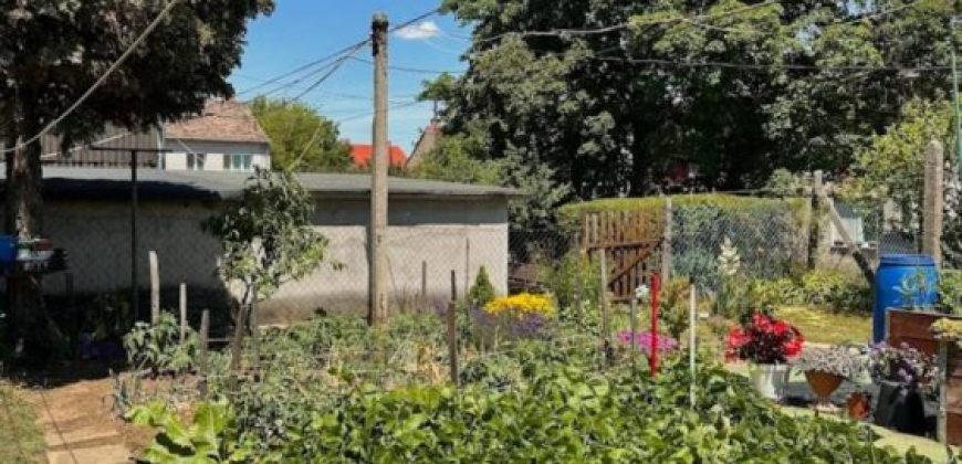Komárom-Esztergom megye – Tatabánya – Kertváros