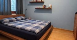 Pest megye – Budakalász – Ezüsthegy
